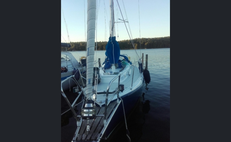 Laurin Koster 31-kuva-2